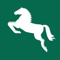 الشرقية